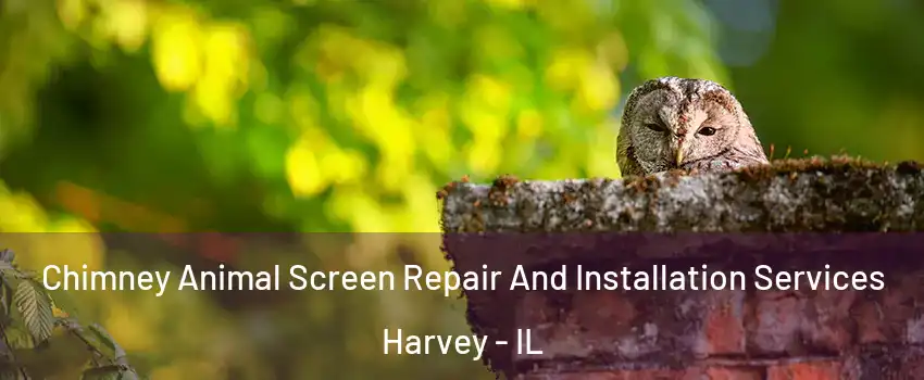  Chimney Animal Screen Repair And Installation Services Harvey - IL