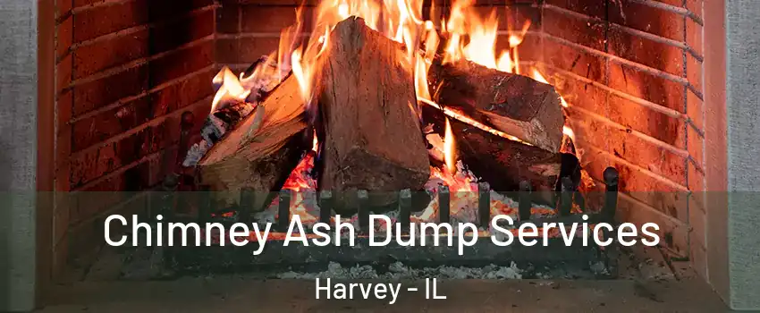  Chimney Ash Dump Services Harvey - IL