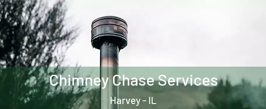  Chimney Chase Services Harvey - IL