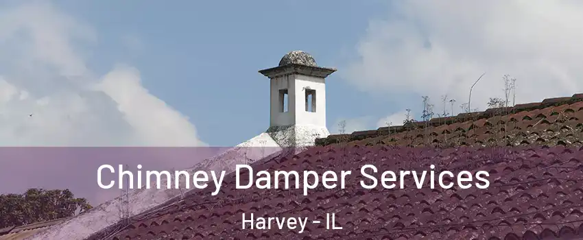  Chimney Damper Services Harvey - IL
