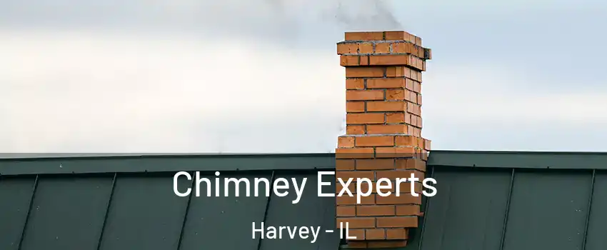 Chimney Experts Harvey - IL