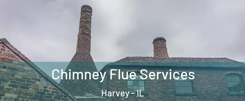  Chimney Flue Services Harvey - IL
