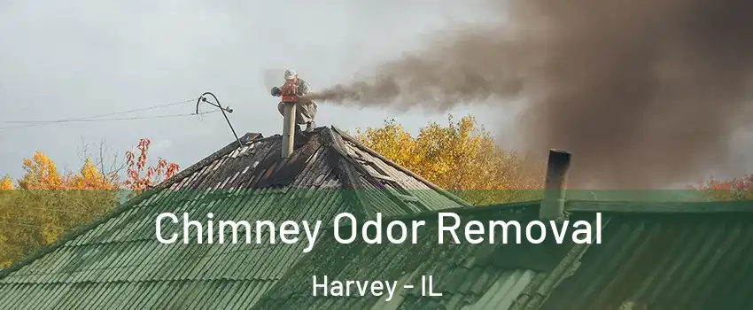  Chimney Odor Removal Harvey - IL