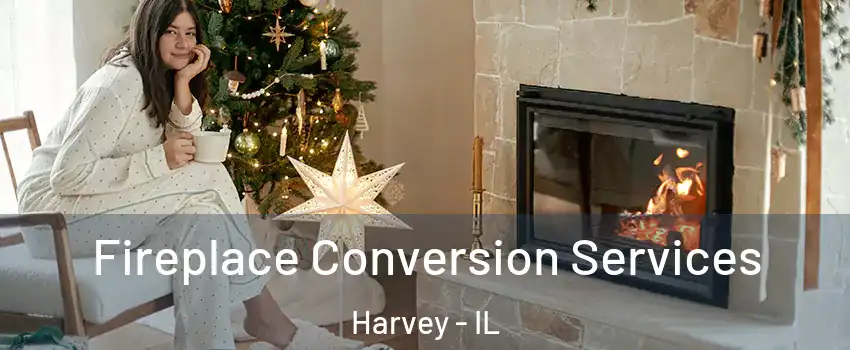  Fireplace Conversion Services Harvey - IL