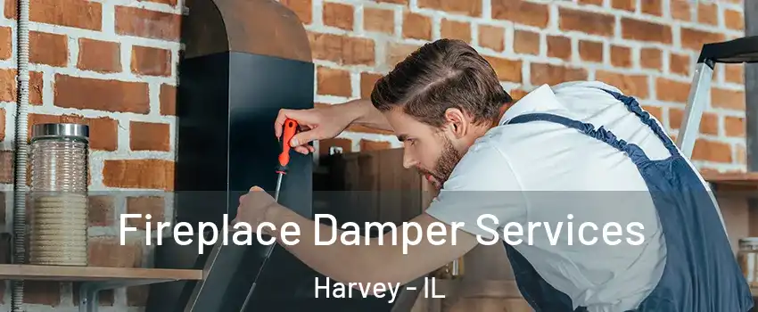  Fireplace Damper Services Harvey - IL
