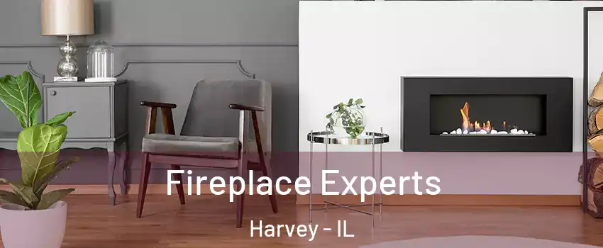  Fireplace Experts Harvey - IL