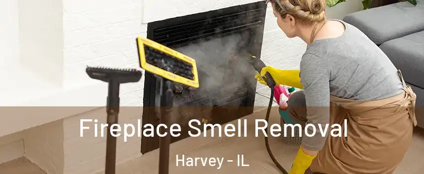  Fireplace Smell Removal Harvey - IL