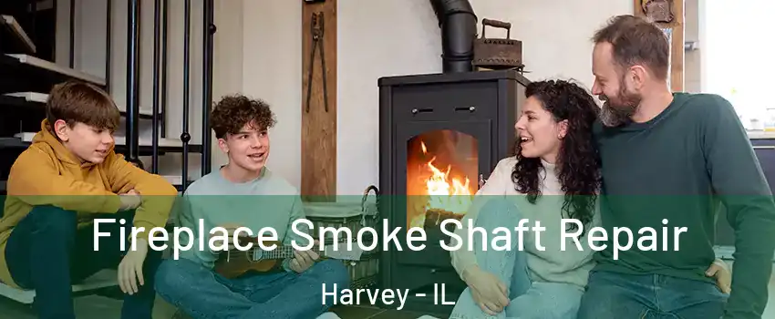  Fireplace Smoke Shaft Repair Harvey - IL