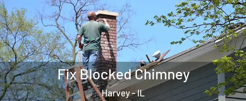  Fix Blocked Chimney Harvey - IL