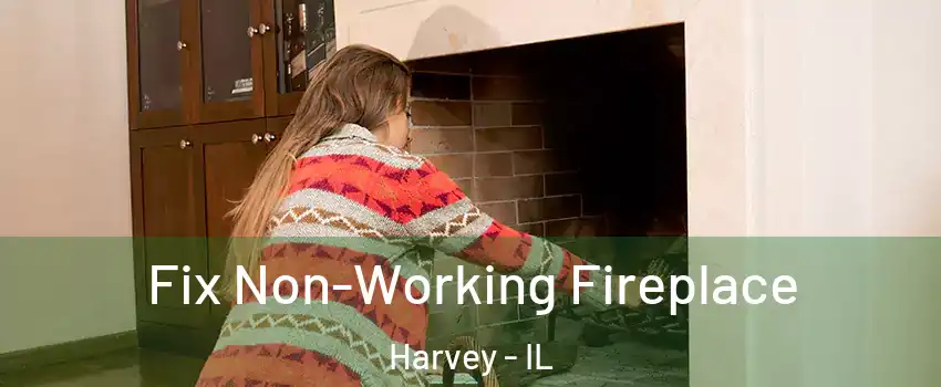  Fix Non-Working Fireplace Harvey - IL