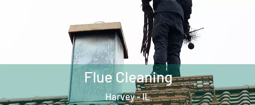  Flue Cleaning Harvey - IL