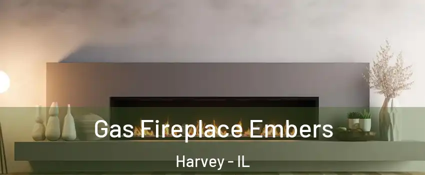  Gas Fireplace Embers Harvey - IL