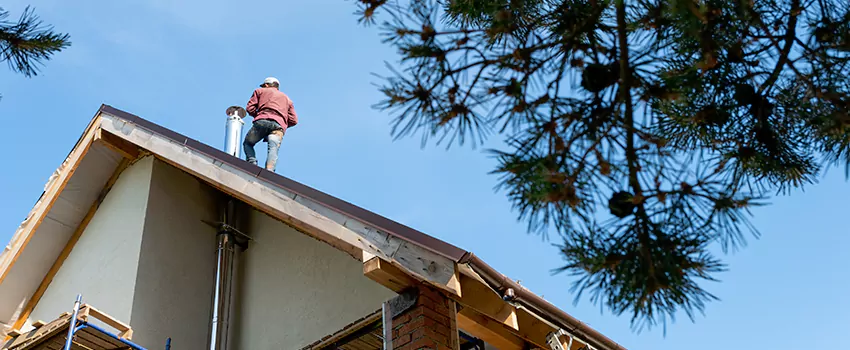 Birds Removal Contractors from Chimney in Harvey, IL