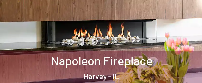  Napoleon Fireplace Harvey - IL