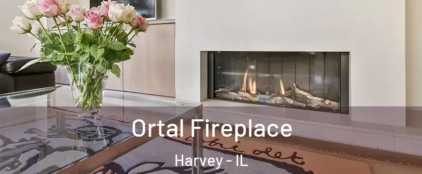Ortal Fireplace Harvey - IL