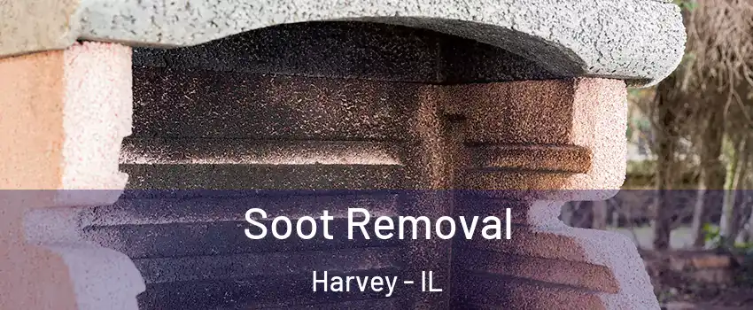  Soot Removal Harvey - IL
